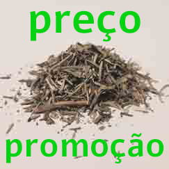Alecrim a preço de promoção