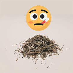 chá de alecrim é bom para gripe?