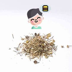 camomila aumenta o apetite