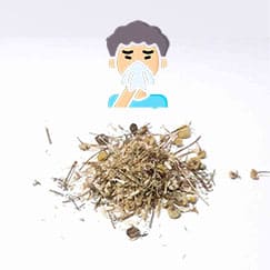 camomila para gripe