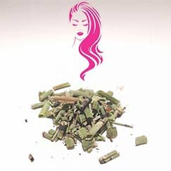 Cavalinha para pele, unhas e cabelos