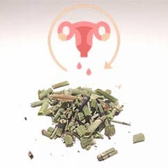 Chá de Cavalinha para menstruação