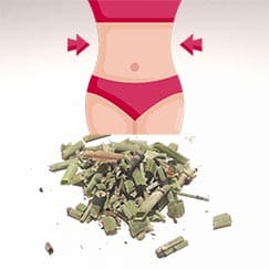 Cavalinha para derreter gorduras?