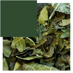 chá de folha verde