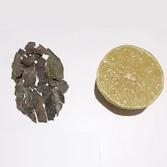 Chá Verde e limão