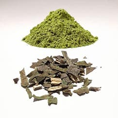 Chá Verde Matcha
