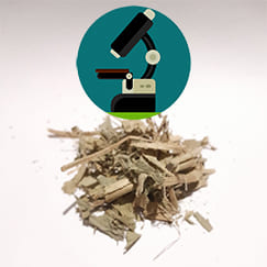 Chá Chapéu de Couro emagrece de verdade?