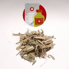 Receita para emagrecer com o Chá Chapéu de Couro