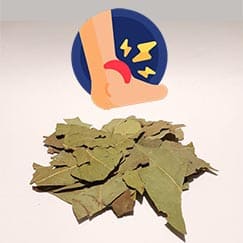 Louro para inflamação