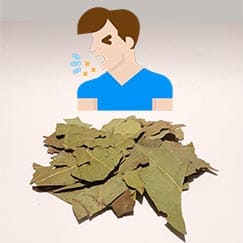 Louro para congestão nasal e tosse