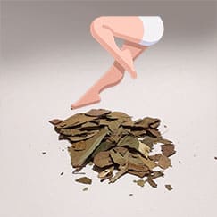 Chá Pata de Vaca emagrece mesmo?