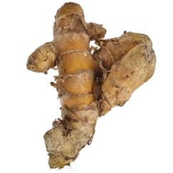 Açafrão da Terra
