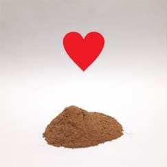 Canela para o coração