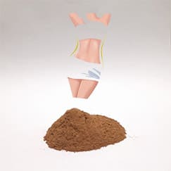 Canela em pó emagrece