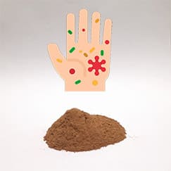 Canela em pó para infecção
