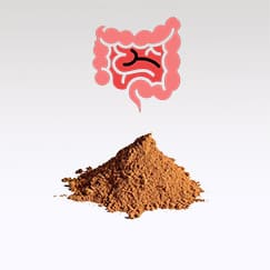 Nóz Moscada solta o intestino